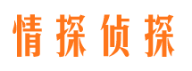 怀安情探私家侦探公司